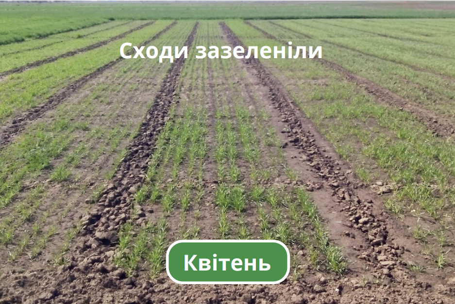 Квітень